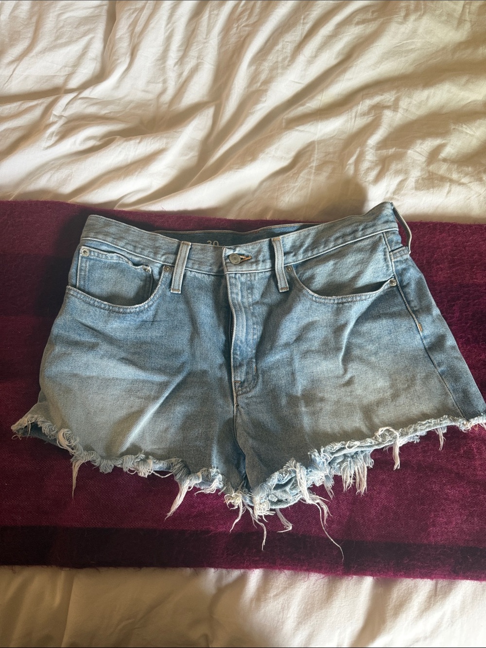 J. Crew Light Blue Distressed Denim Cutoff Shorts